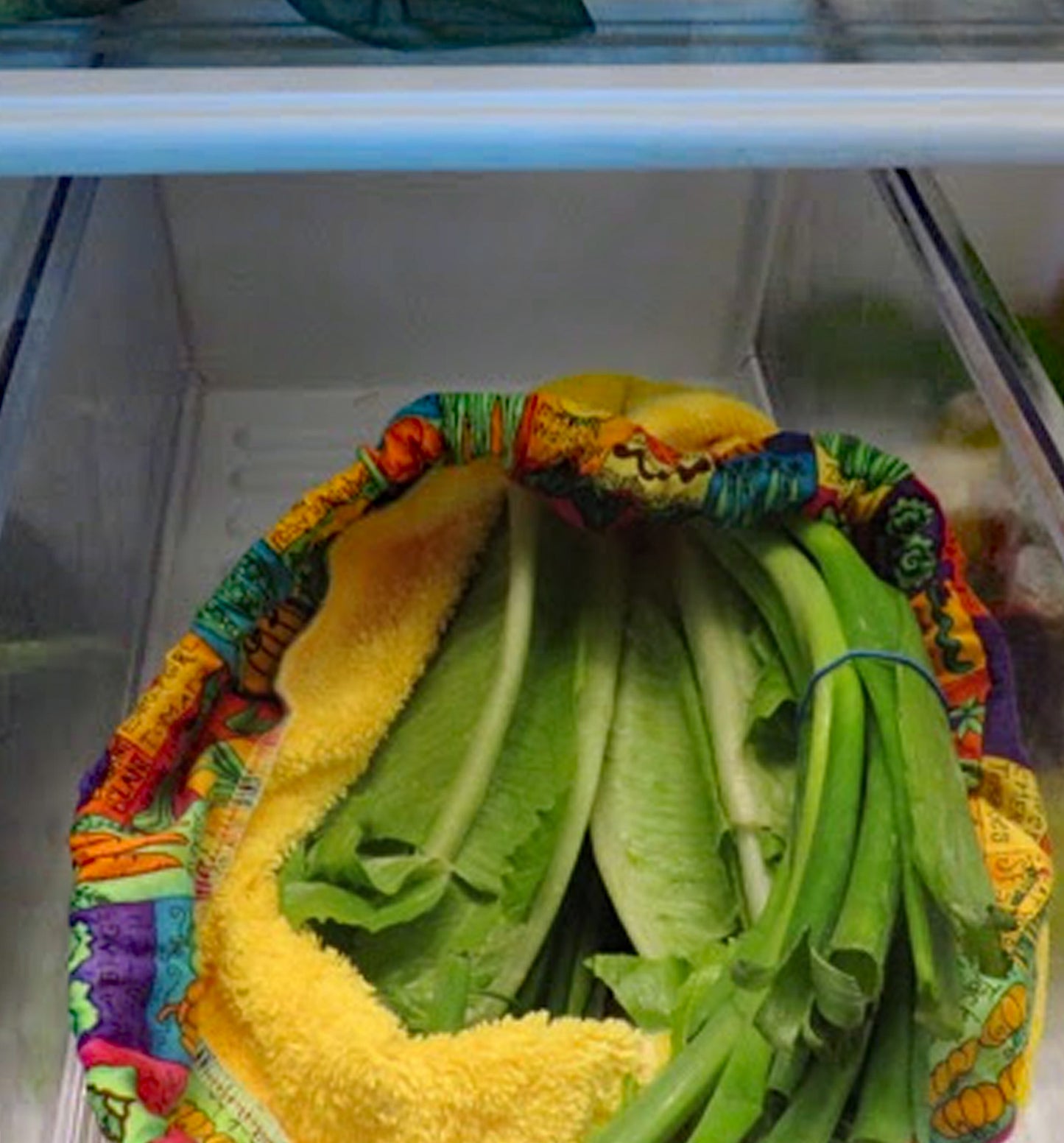 Crisper Sac-Produce Bag Medium-Lettuce Green