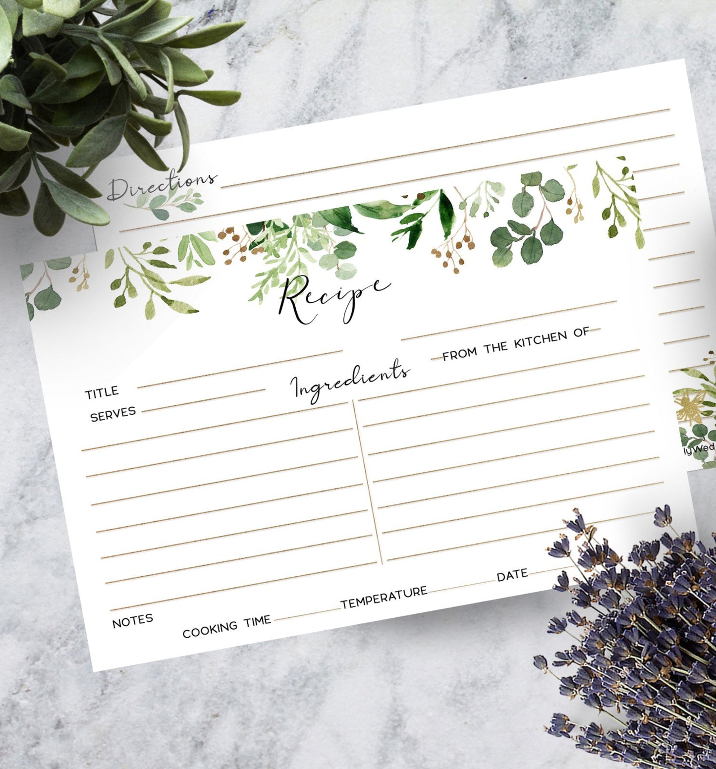 Recipe Cards - Eucalyptus set/30